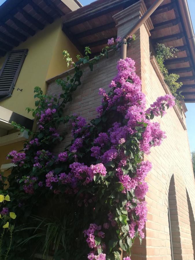 Casolare Isabella "Il Rifugio Dei Vinili" And Alice'S Room Ponsacco Exterior photo